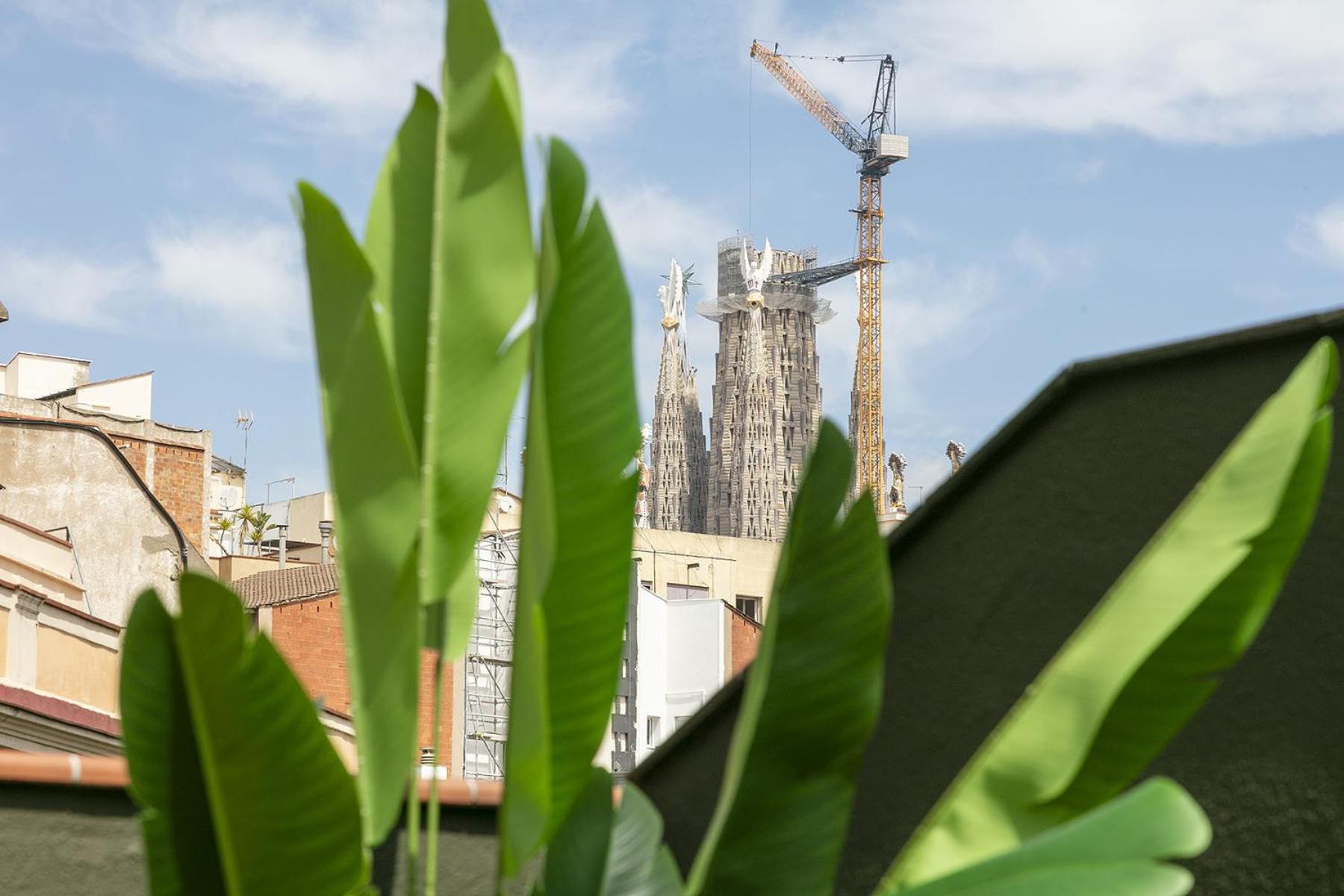 Apartament Ola Living Consell De Cent Barcelona Zewnętrze zdjęcie